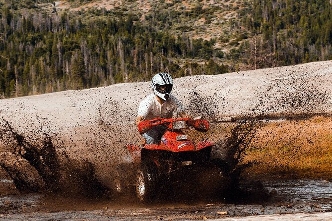 Quad Safari Experience in Alanya (Adventure Tour) w/ Free Hotel Transfer - What the group size means on the trail