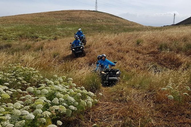 Quad Tour Excursion from the Castle to the Sea - Who will enjoy this quad ride most?