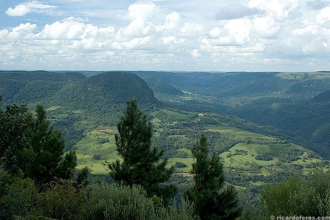 Quadricycle Tour to the Hills with Off Road 15km - 01 person - Why the forest trails matter