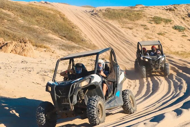 Race the Baja 1000 — Migriño Desert & Beach Off‑Road Adventure - Whale watching from the beach