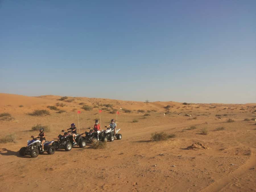 Ras Al Khaimah: Guided Quad Bike Tour - Dune bashing, dinner, and evening entertainment