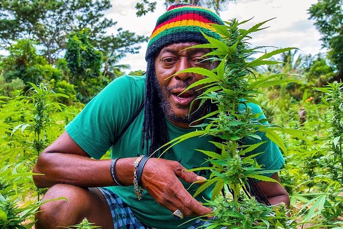 Rastafari Cultural ATV Community Experience from Montego Bay - Key points to know before booking