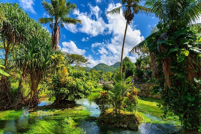 Rastafari Cultural ATV Community Experience from Montego Bay - Swimming at the natural mineral pool