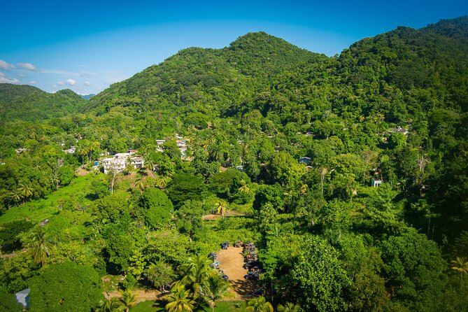 Rastafari Cultural ATV Community Experience from Montego Bay - Seeing the ganja field and tasting fruit from the trees