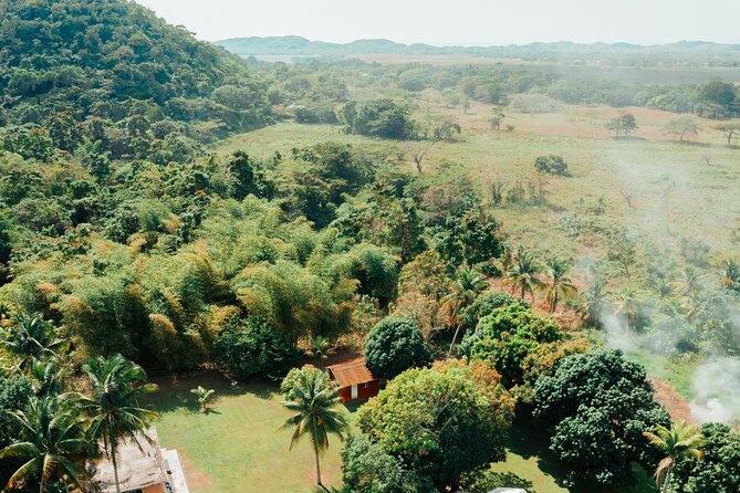 Rastafari Cultural ATV Community Experience from Montego Bay - Homemade lunch after the ride