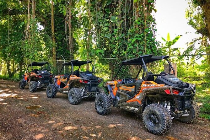 Rastafari Cultural ATV Community Experience from Negril - Key points to know before booking