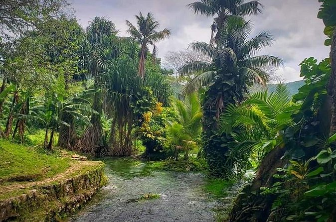 Rastafari Cultural ATV Community Experience from Negril - Swimming in the natural mineral pool