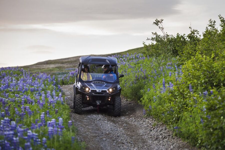 Reykjavik: Buggy Safari Tour with Hotel Transfers - Booking details that can save you trouble