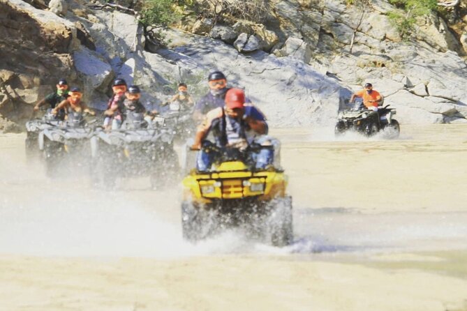Ride through Bajas wild beauty—from desert trails to ocean views. - Quick facts worth knowing