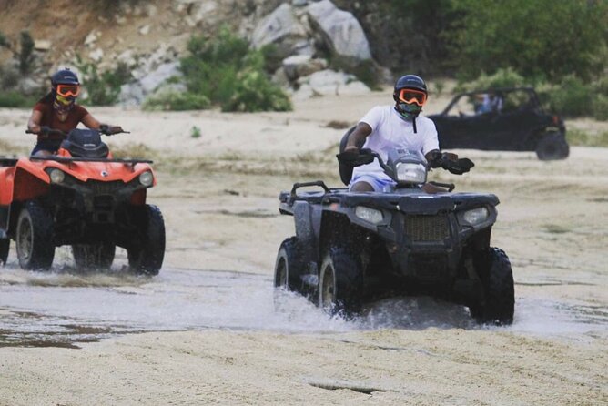 Ride through Bajas wild beauty—from desert trails to ocean views. - Guides, safety, and how beginner-friendly it feels