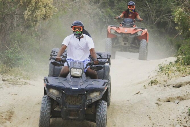 Ride through Bajas wild beauty—from desert trails to ocean views. - Photos, timing, and the practical value of $76.50