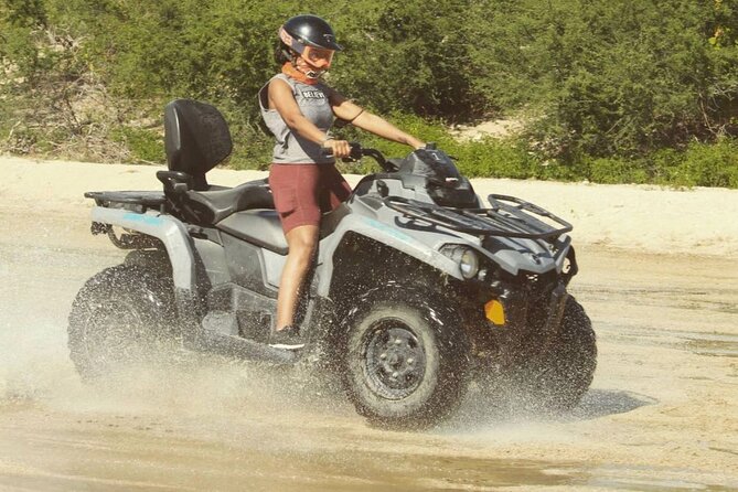 Ride through Bajas wild beauty—from desert trails to ocean views. - Who will enjoy this Baja ATV ride most