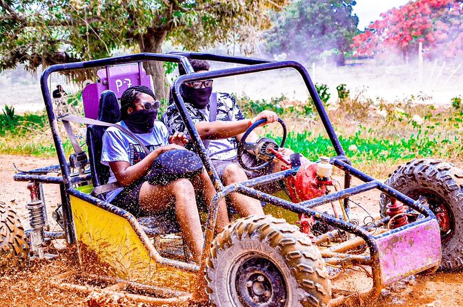 Road Off Half Day Buggy with Chocolate and Coffee Tasting - Five things to know before you book