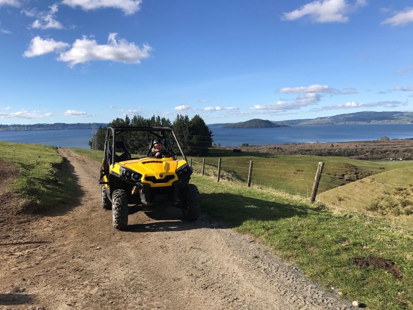 Rotorua: 4×4 Self-Drive Buggy Tour Through Farm and Bushland - Key points at a glance
