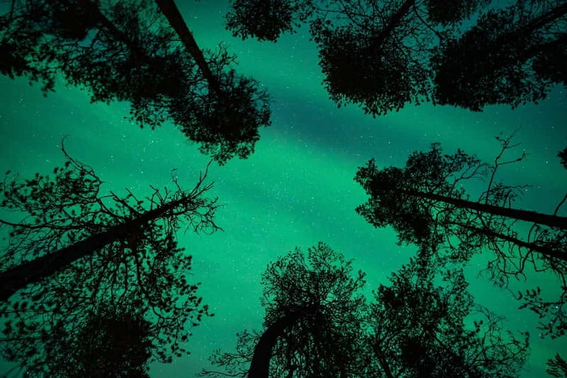 Rovaniemi: Northern Lights Quad Bike Tour - Booking details that affect your evening