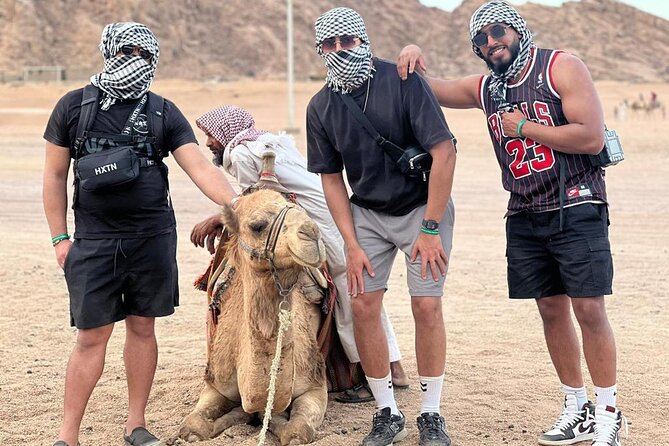 Safari 5 in 1 Quads, Camels, Show, Dinner & Star Gazing in Sharm El Sheikh - Pickup and the ride to the quad center