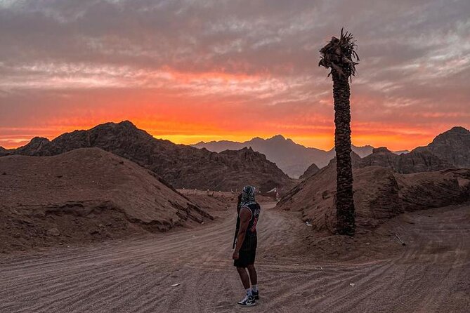 Safari 5 in 1 Quads, Camels, Show, Dinner & Star Gazing in Sharm El Sheikh - Group size, guides, and service