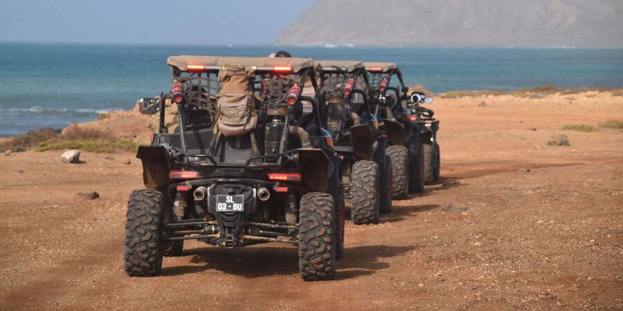 Sal Island: 4-Hour Buggy Island Tour - Shark Bay and Lemon Sharks