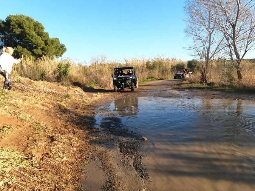 Salou: Buggy Safari with Hotel Transfer - Who should book this activity?