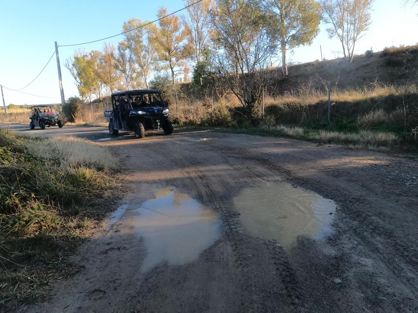 Salou: Kid's Buggy Driving Experience in Safe Environment - Should you book the Salou kids buggy experience?