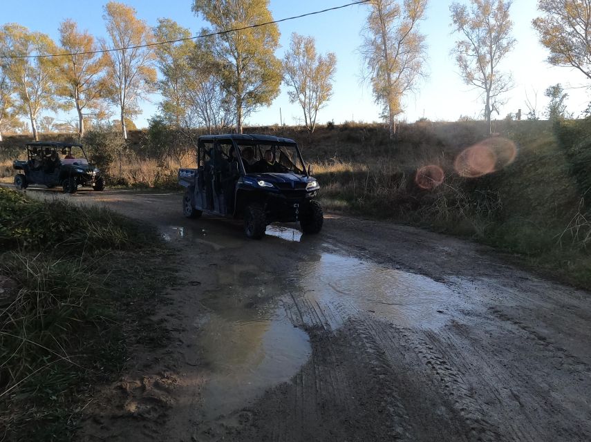 Salou: Kid's Buggy Driving Experience in Safe Environment - Pickup makes this easier than it looks
