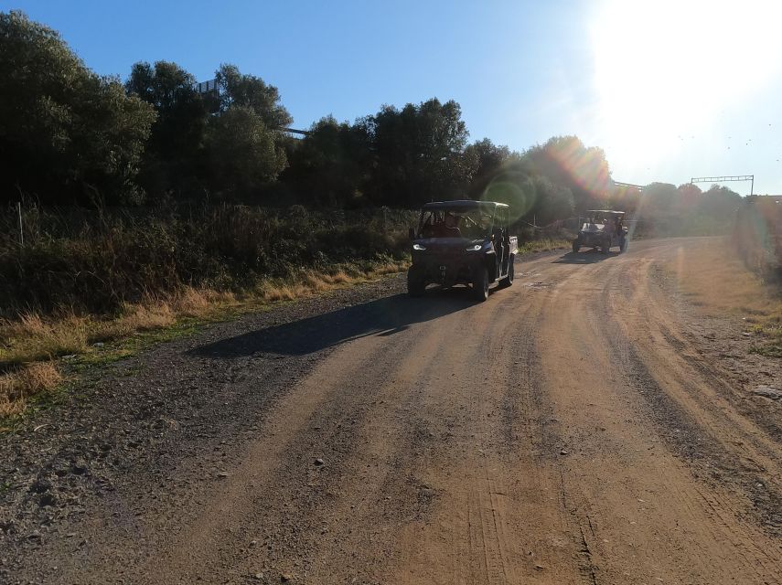 Salou: Kid's Buggy Driving Experience in Safe Environment - Why the track works for first-time drivers
