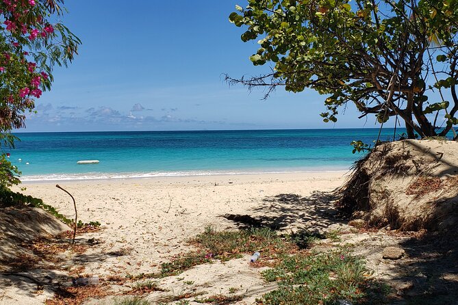 Salty Dogs UTV Adventure - Why this Antigua ride is worth considering