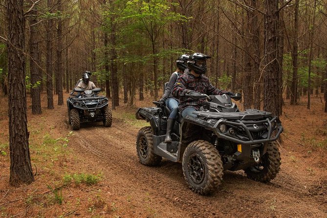 Sand Hollow ATV Rentals - New 4 Person UTV Bring up to 4 People Per Machine - What the high rating tells you, and what it does not