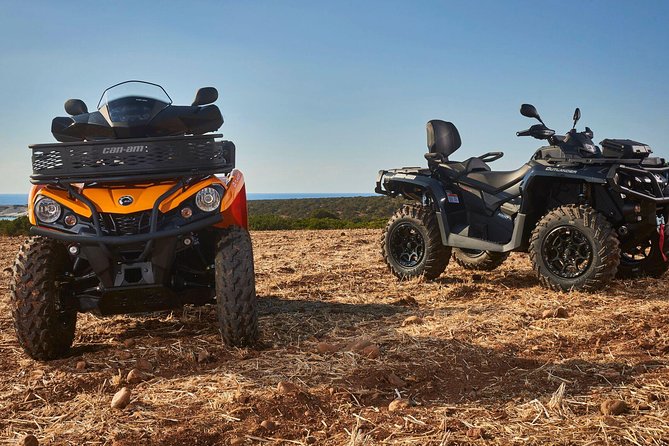 Sand Hollow ATV Rentals - New 4 Person UTV Bring up to 4 People Per Machine - Is $795 a good value?