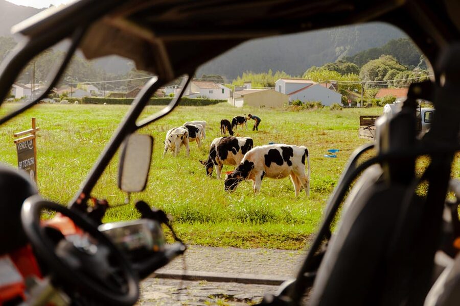 Sao Miguel: Buggy Tour Around Sete Cidades Volcano - Weather, comfort, and what to wear