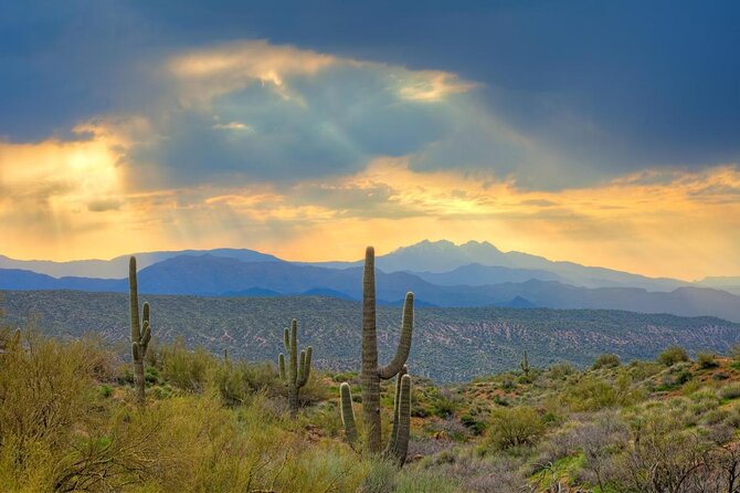 Scottsdale & Phoenix 2 Hour Desert Guided ATV Tour - Quick takeaways from the desert ride