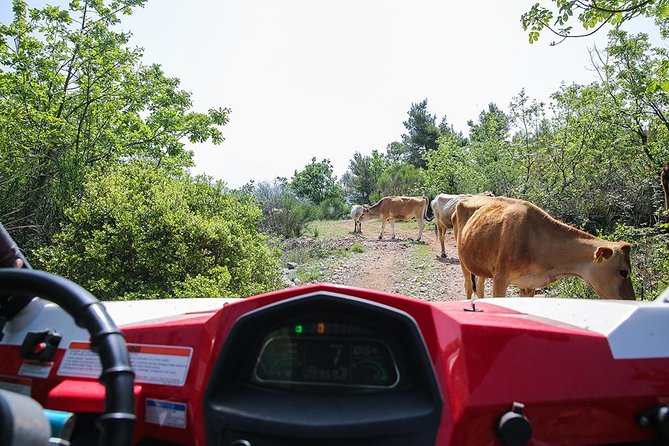 Self-drive Off Road Buggy - Who should book this buggy ride?