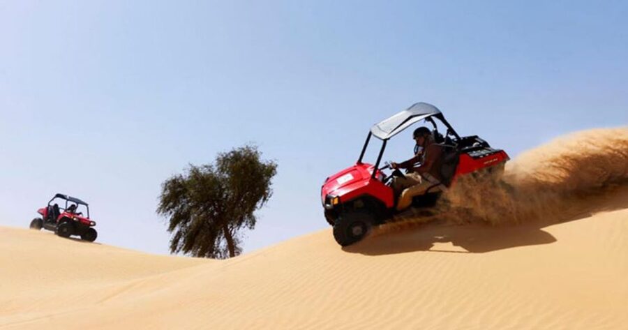 Sharm El-Sheikh: Desert Buggy Safari Adventure - Why families tend to like this outing