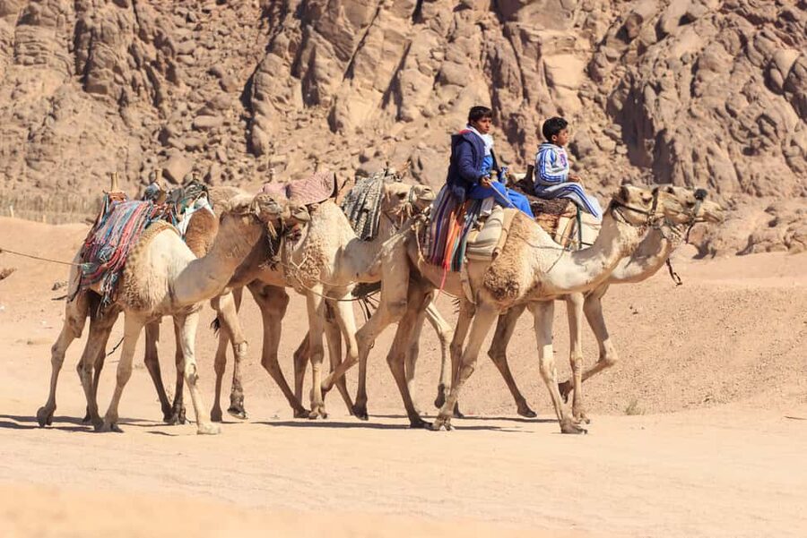 Sharm El-Sheikh: Morning Desert ATV Quad or Buggy Adventure - Friendly guides who shape the experience