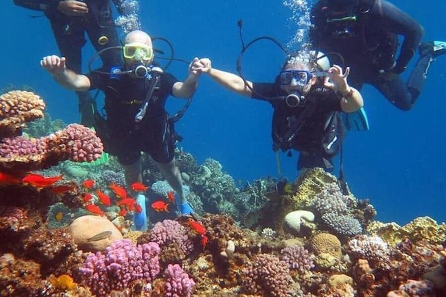 Sharm El-Sheikh: Parasailing, Camel Ride, Dive & Quad Bike - Key points before you book
