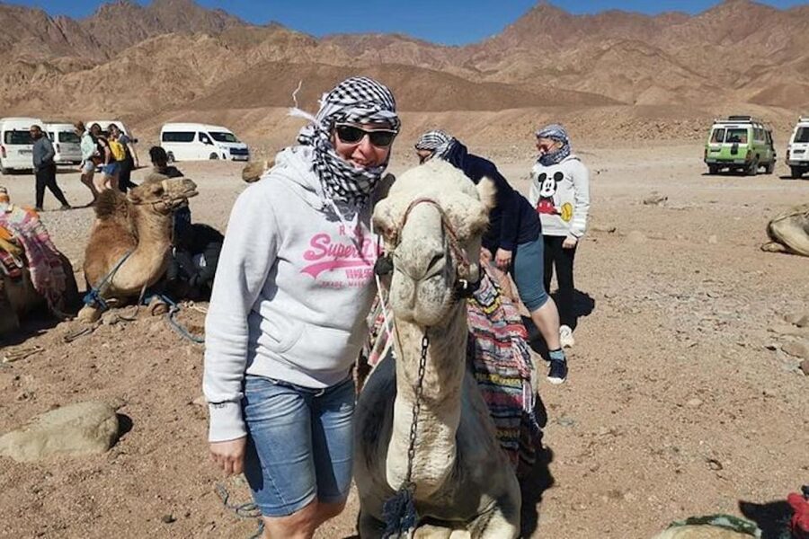 Sharm El-Sheikh: Parasailing, Camel Ride, Dive & Quad Bike - Choosing the right version of the tour