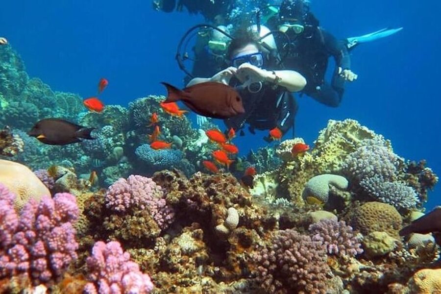 Sharm El-Sheikh: Parasailing, Camel Ride, Dive & Quad Bike - What to pack, and what to leave behind