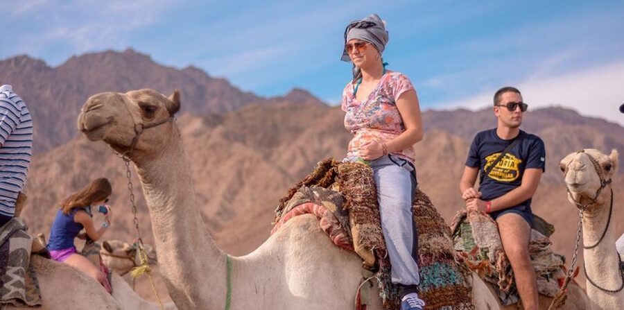 Sharm El Sheikh: Quad bike, Safari, Camel With Dinner & Show - Camel riding at sunset