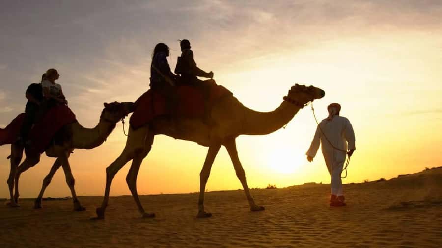 Sharm El Sheikh: Quad Biking, Camel Ride & Bedouin Dinner. - Five things to know before you book
