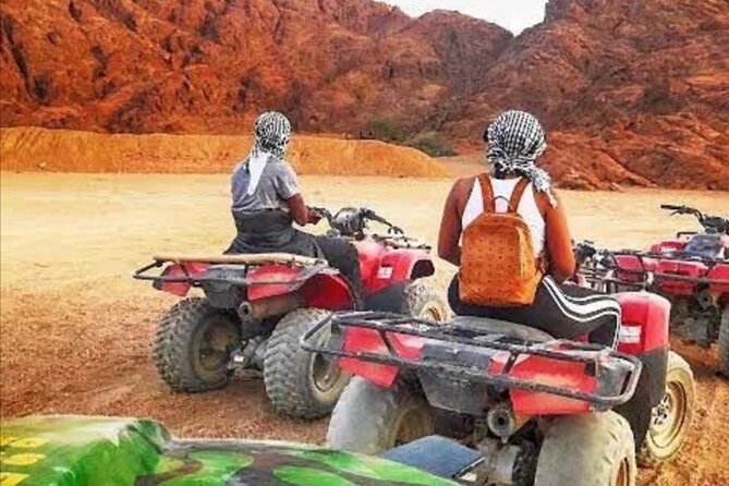 Sharm: Quad Bike or Car Buggy, Camel ride & optional VIP Bedouin Dinner & Show - The camel stop: photos first, riding second
