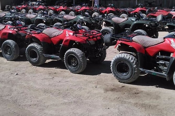 Sharm: Quad Bike or Car Buggy, Camel ride & optional VIP Bedouin Dinner & Show - The optional VIP Bedouin dinner and show