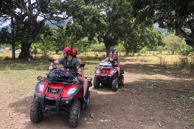 Shore Excursion: V.I.P. DayPass: ATV, Zip Lines, Horseback Riding & Lunch - Why This Shore Excursion Works So Well
