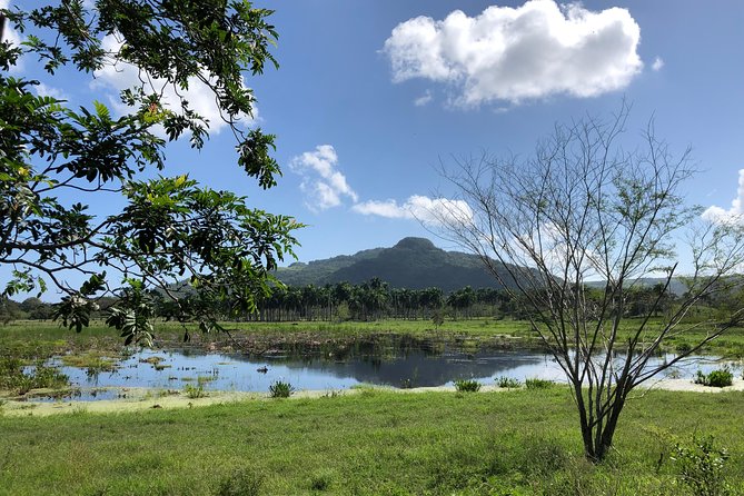 Shore Excursion: V.I.P. DayPass: ATV, Zip Lines, Horseback Riding & Lunch - Is $159.99 a Fair Price?