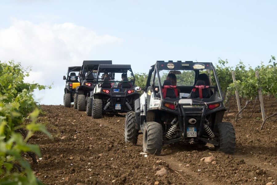 Sicily: Off-Road ATV Buggy Tour - Picking and tasting seasonal Sicilian fruit