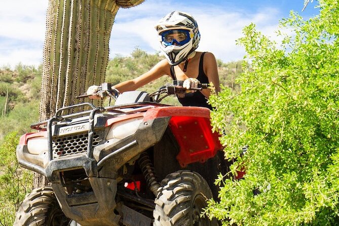 Sidewinder ATV Training & Centipede Tour Combo - Guided ATV Training & Tour - Is $179.65 Good Value?