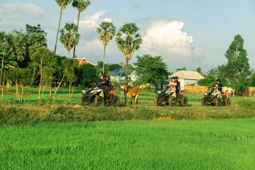 Siem Reap: Quad Bike Tour of Local Villages - Rice paddies and the sunset stop