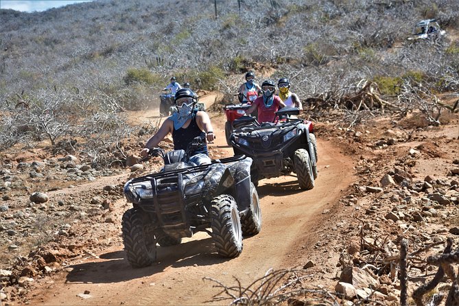 Single ATV Tour from Migriño Beach & Desert - More than 50 kinds of cactus