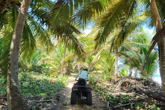 Small Group Exclusive 4x4 ATV Punta Cana: Jungle & Wild Beaches! - Is $67.99 good value?