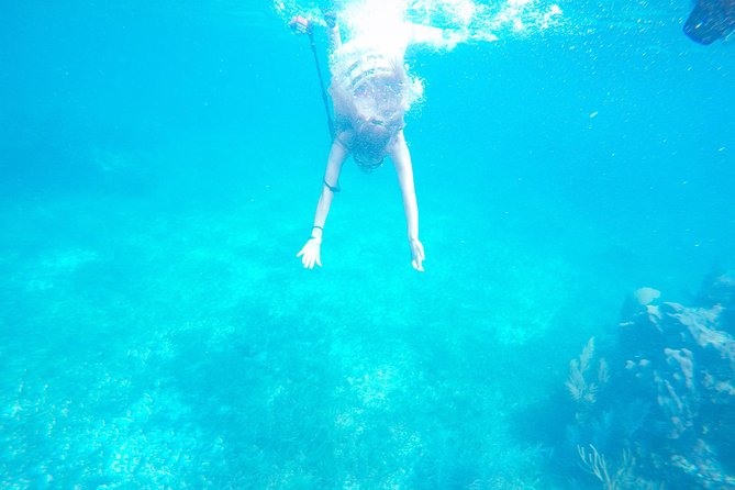 Snorkel, ATV, Zipline and Cenote Adventure from Cancun - From Cancun to the Puerto Morelos reef