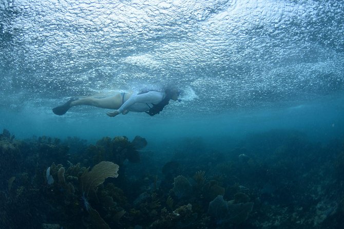Snorkel, ATV, Zipline and Cenote Adventure from Cancun - Swimming in a limestone cenote